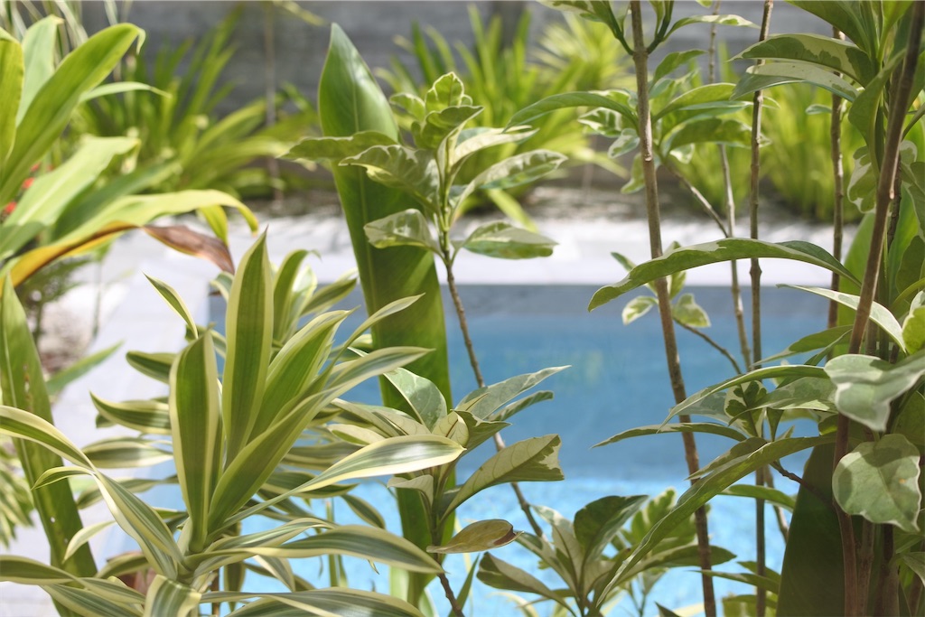 f:id:naccotours:20260330162007j:image