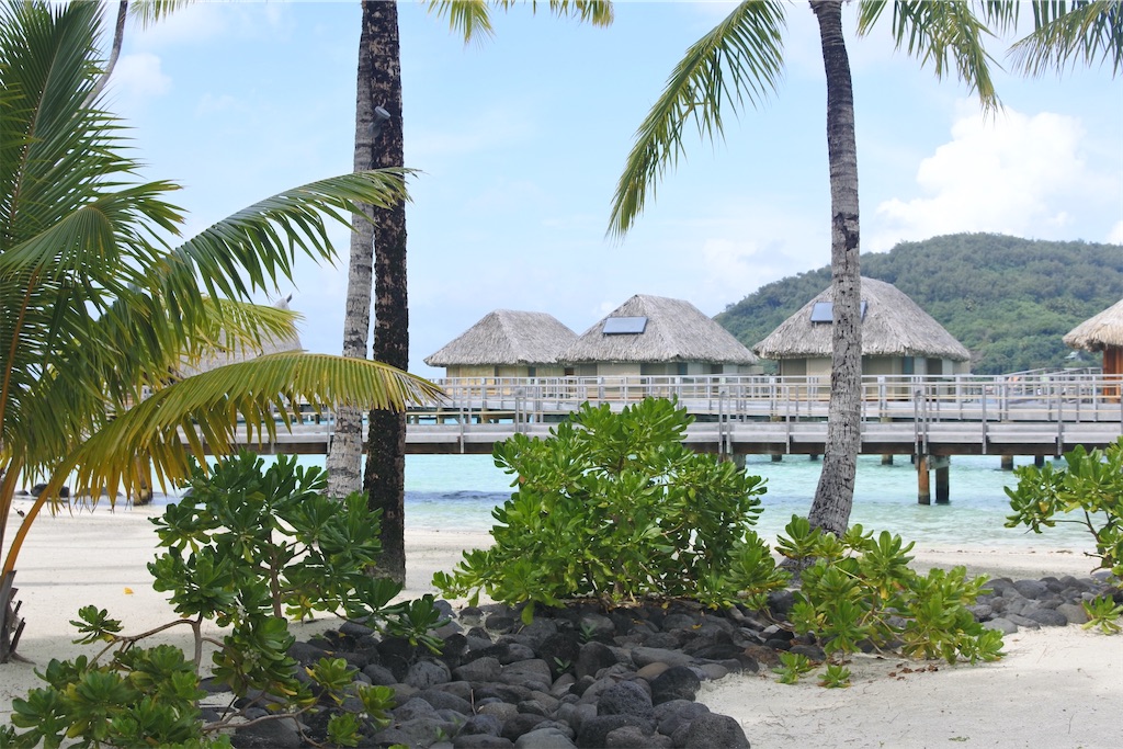 f:id:naccotours:20260330162439j:image