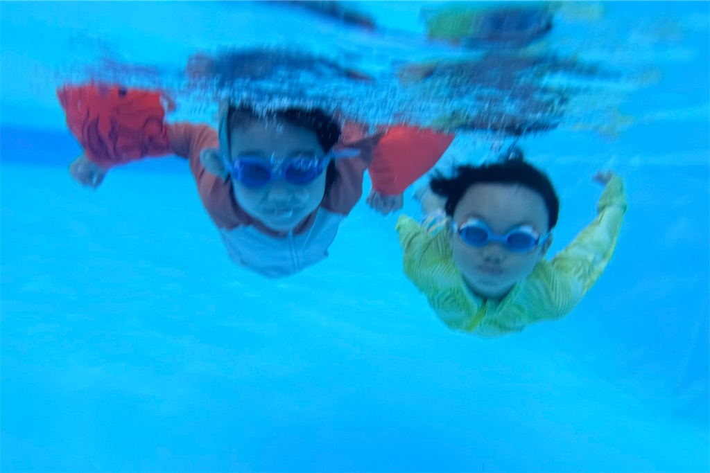 f:id:naccotours:20260330163554j:image