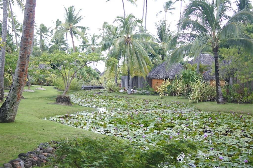 f:id:naccotours:20260330163805j:image
