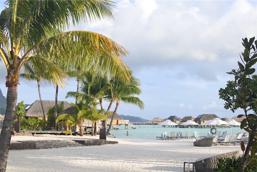 f:id:naccotours:20260330163820j:image