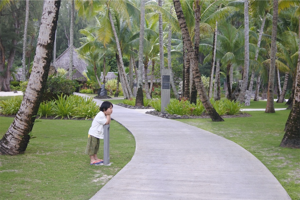 f:id:naccotours:20260330163828j:image