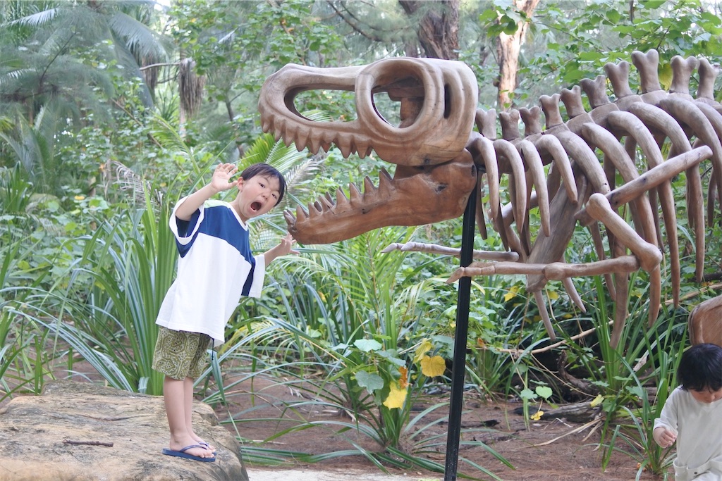 f:id:naccotours:20260330163904j:image