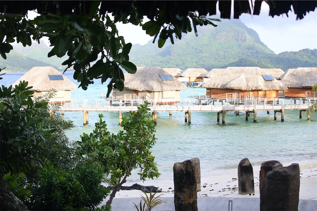 f:id:naccotours:20260330163917j:image