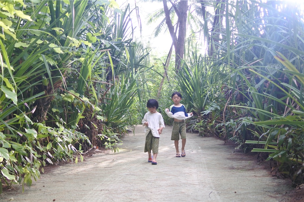 f:id:naccotours:20260330163923j:image