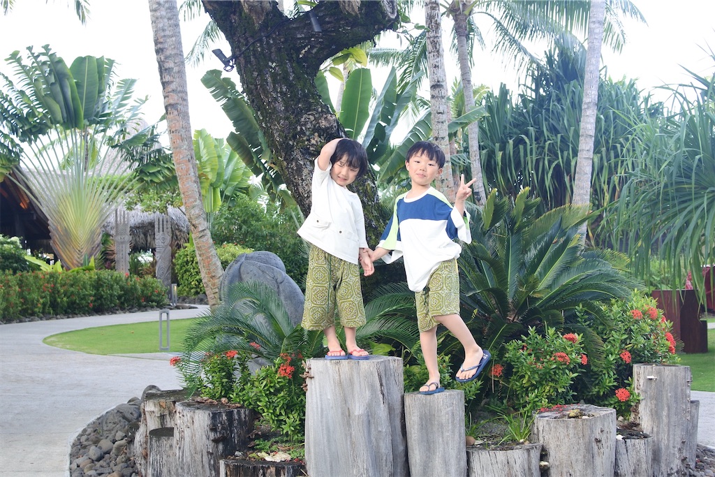 f:id:naccotours:20260330163944j:image