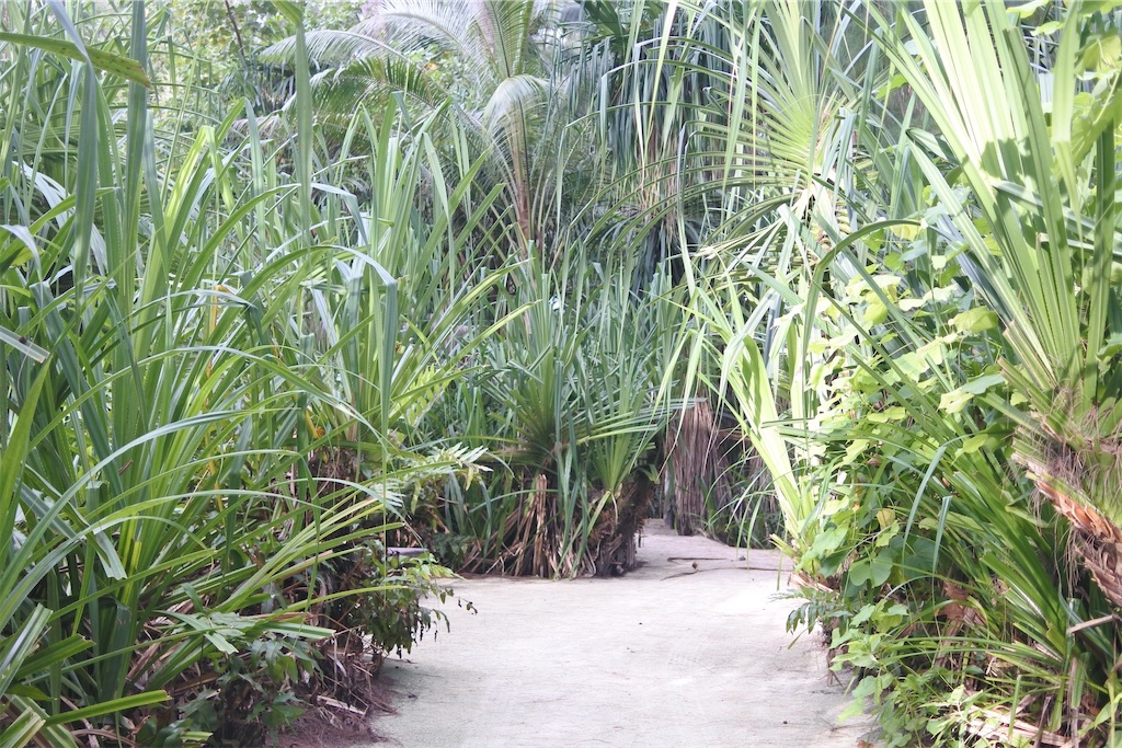 f:id:naccotours:20260330164001j:image