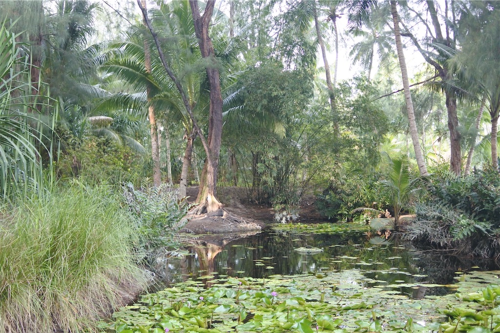 f:id:naccotours:20260330164007j:image