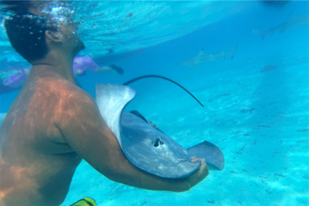 f:id:naccotours:20260331090539j:image