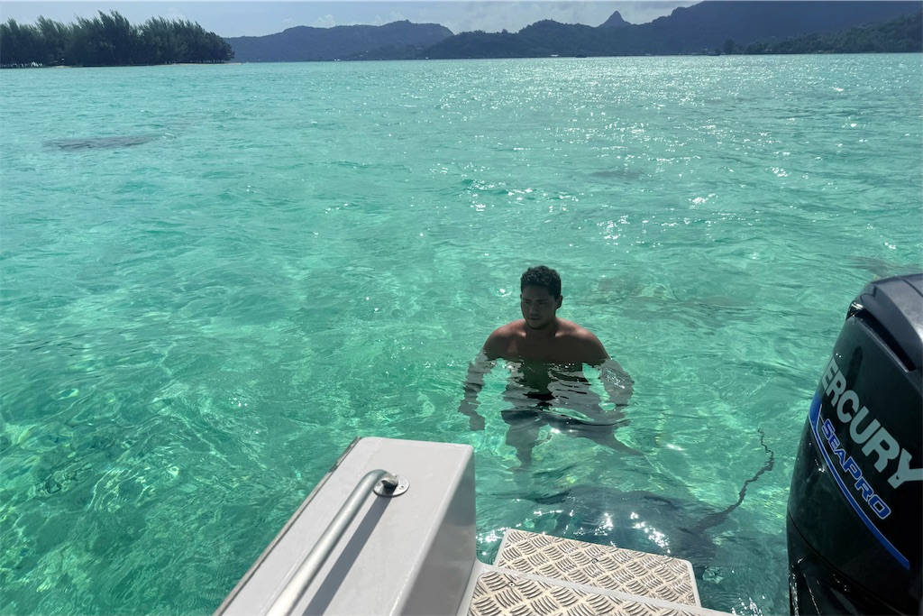f:id:naccotours:20260331091429j:image