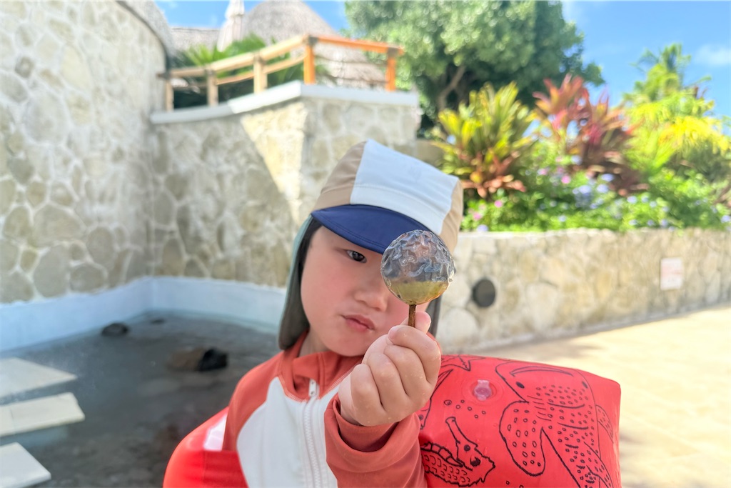 f:id:naccotours:20260331092003j:image