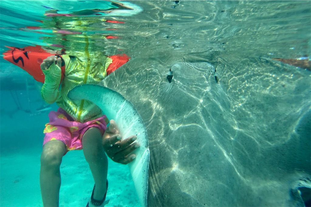 f:id:naccotours:20260331092503j:image