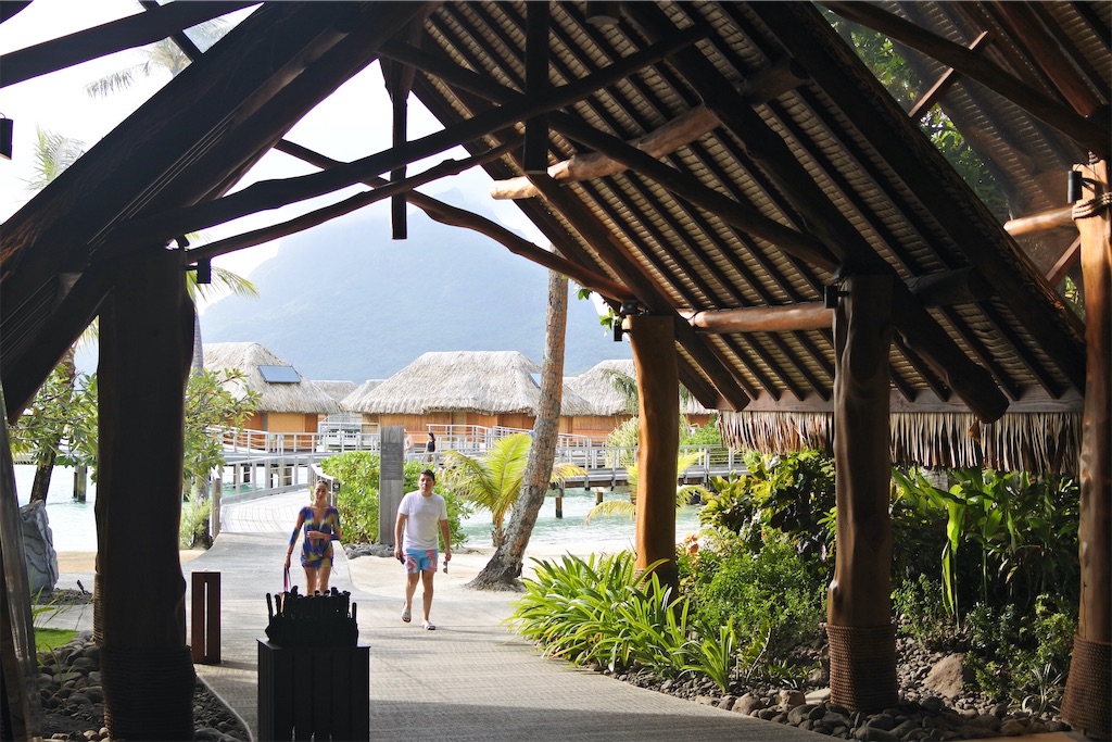 f:id:naccotours:20260331165141j:image