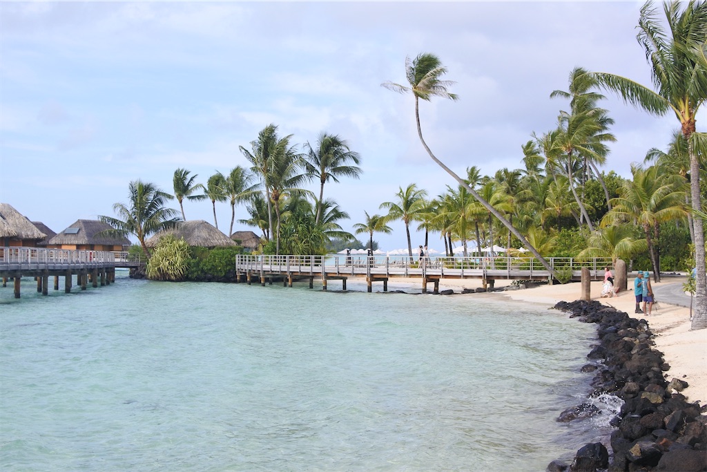 f:id:naccotours:20260331165330j:image