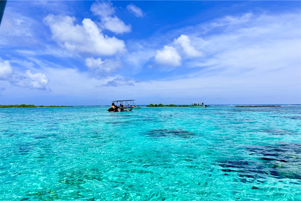 f:id:naccotours:20260331165642j:image