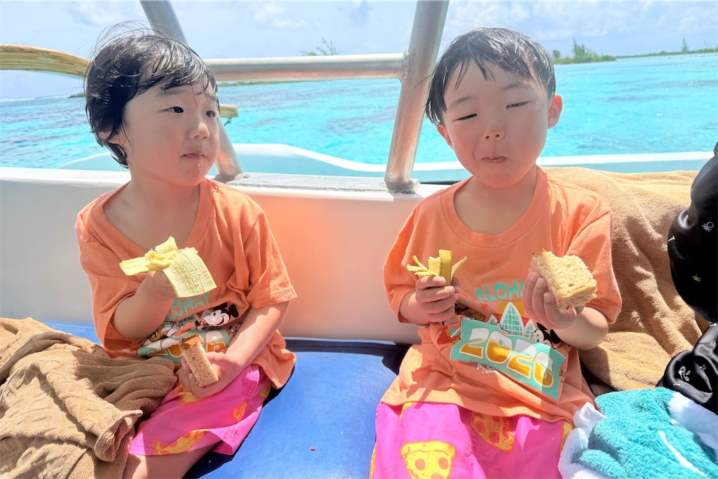 f:id:naccotours:20260331165717j:image