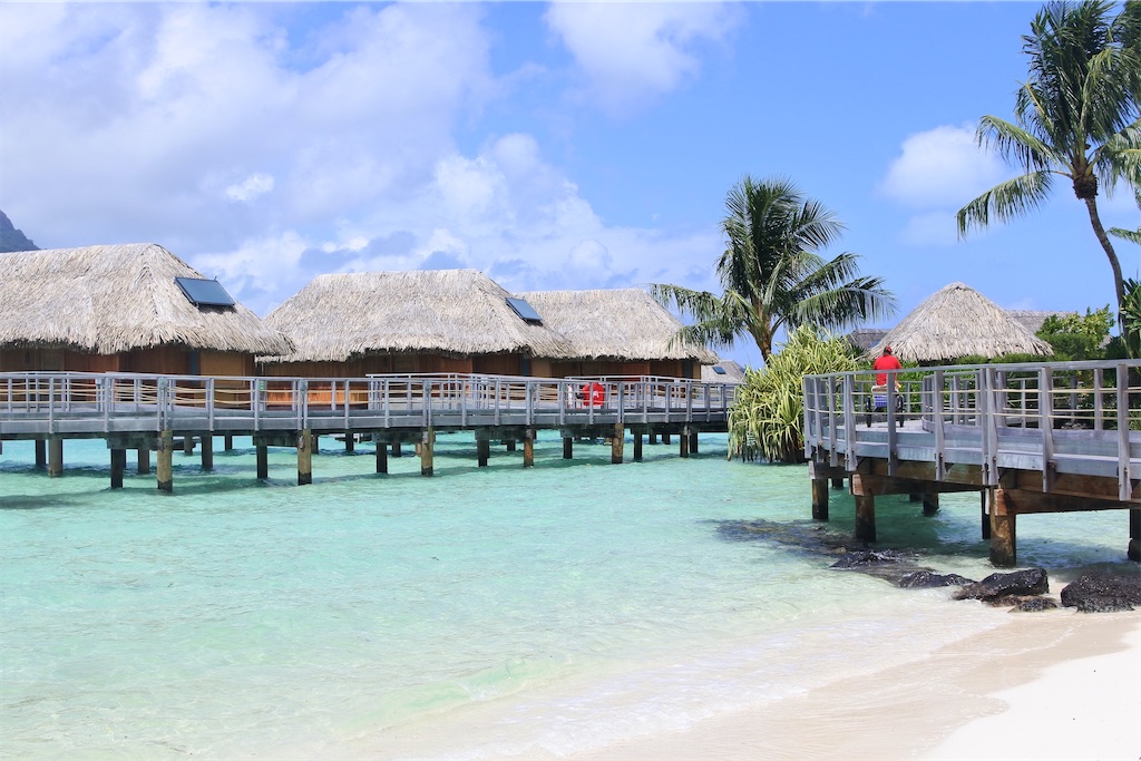 f:id:naccotours:20260331165752j:image