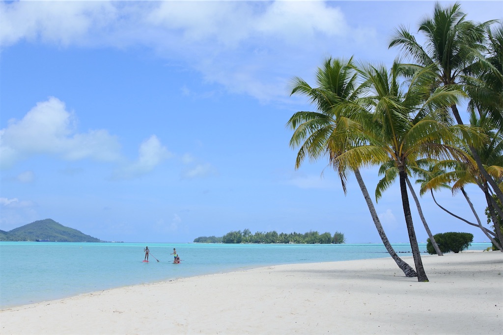 f:id:naccotours:20260331165846j:image