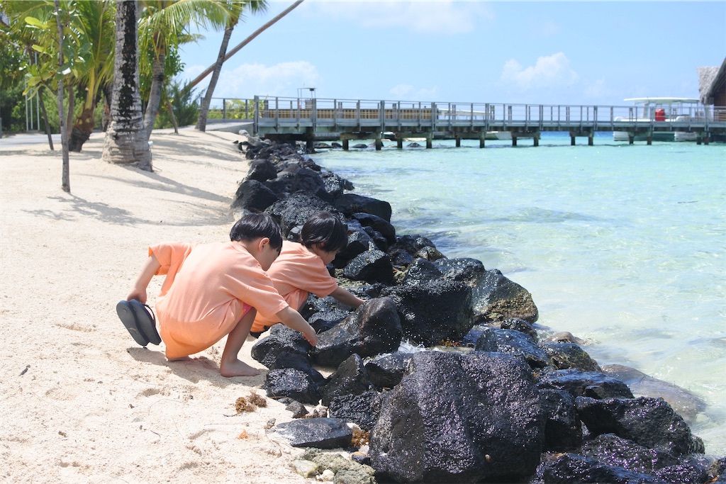 f:id:naccotours:20260331165852j:image