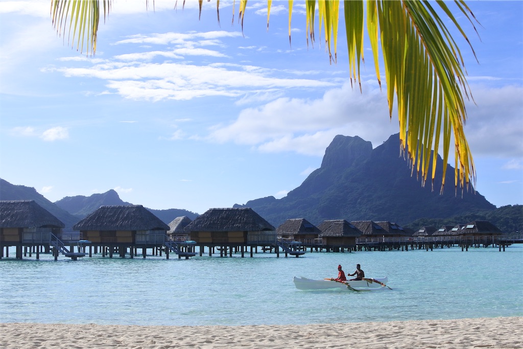 f:id:naccotours:20260401161716j:image