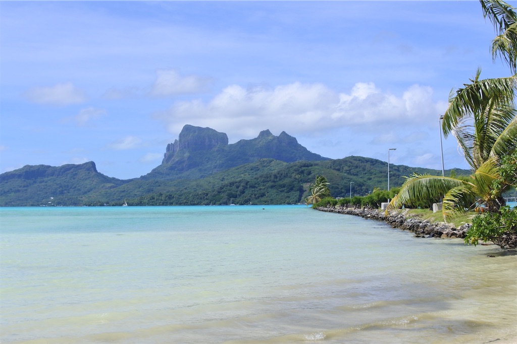 f:id:naccotours:20260401163006j:image