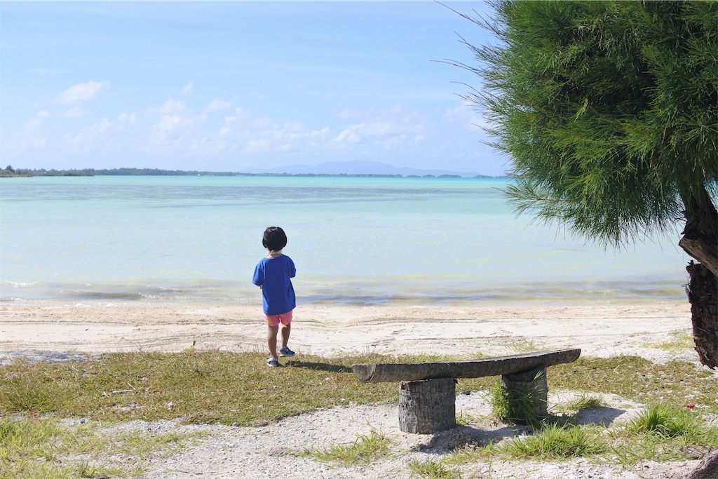 f:id:naccotours:20260401163032j:image