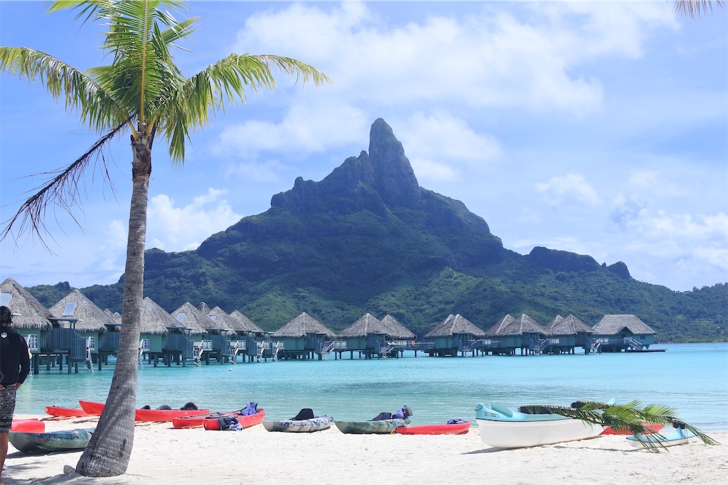 f:id:naccotours:20260401164231j:image