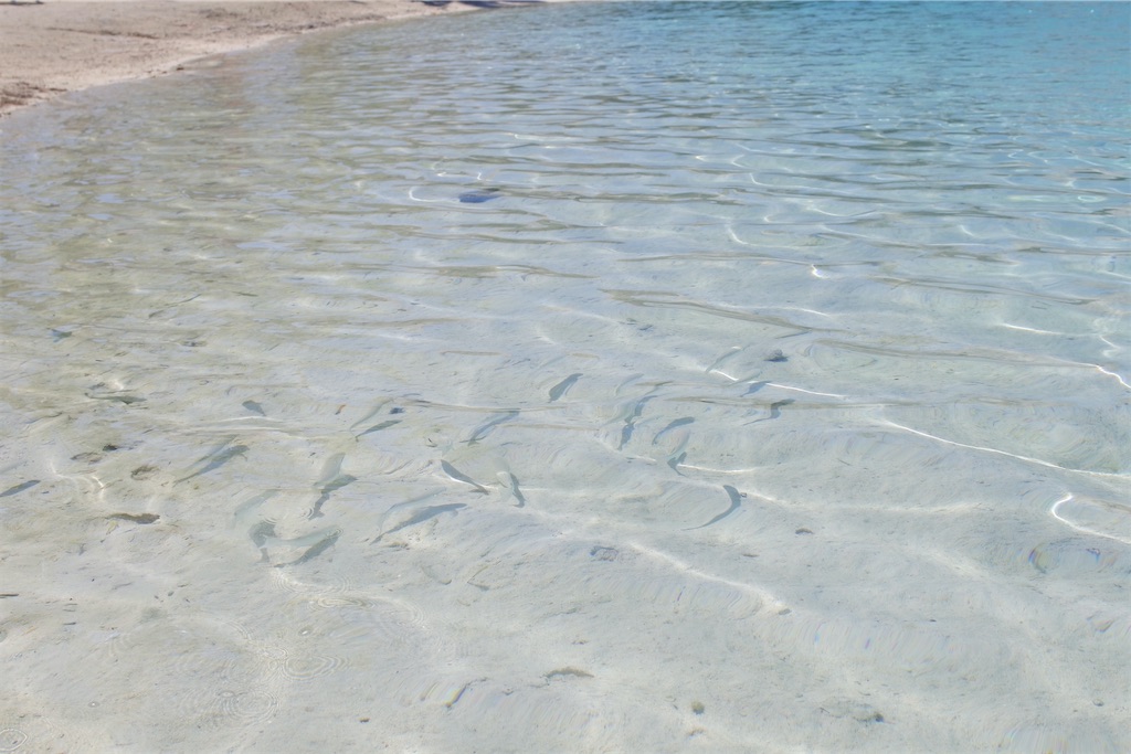 f:id:naccotours:20260401164302j:image
