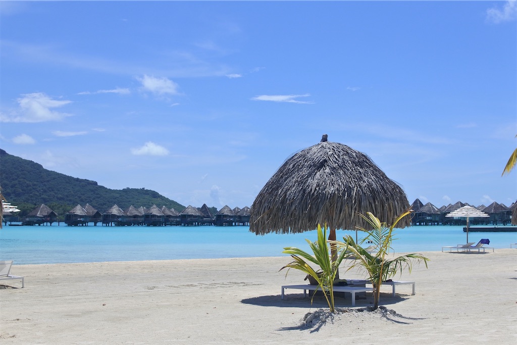 f:id:naccotours:20260401164315j:image