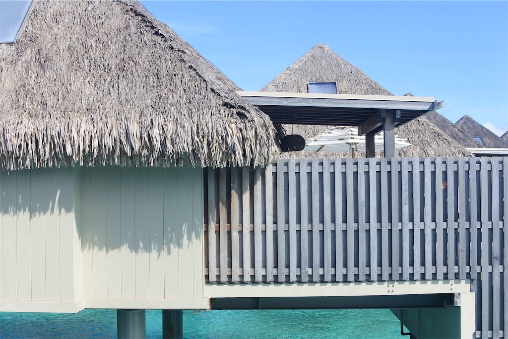 f:id:naccotours:20260401165058j:image
