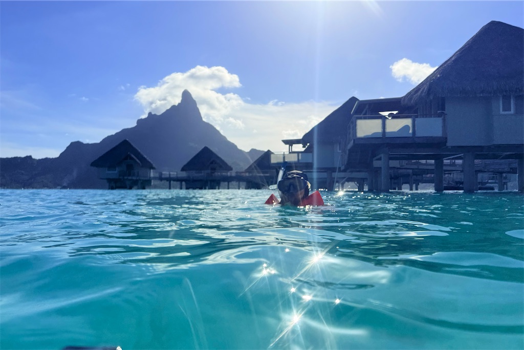 f:id:naccotours:20260401165244j:image