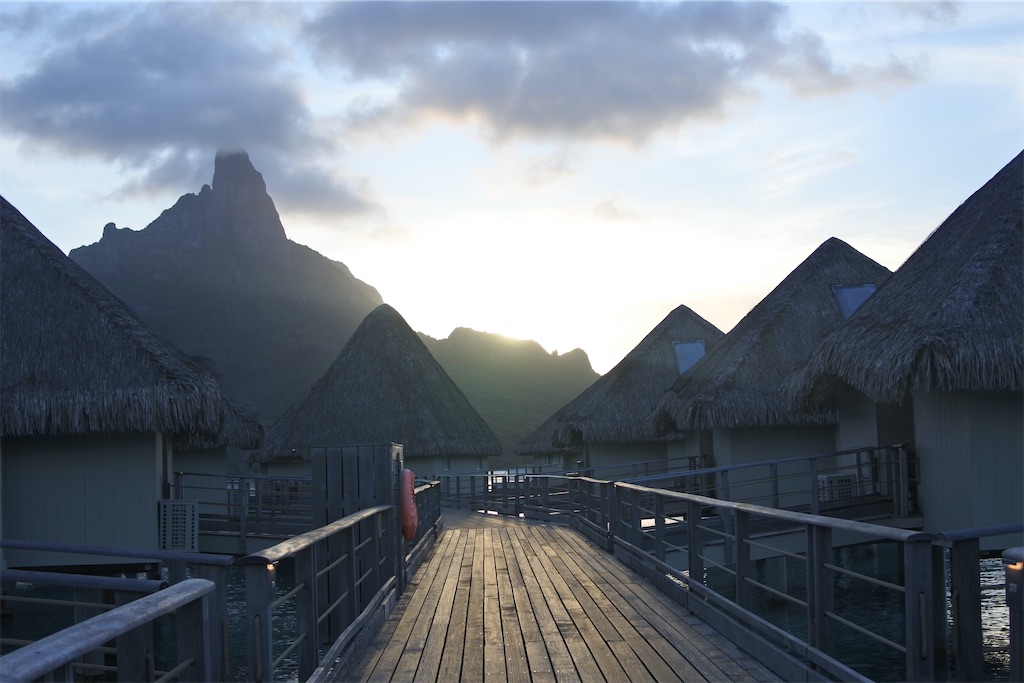 f:id:naccotours:20260401165357j:image