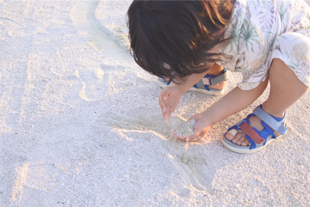 f:id:naccotours:20260401165405j:image
