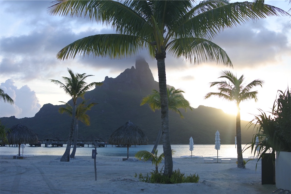 f:id:naccotours:20260401165411j:image