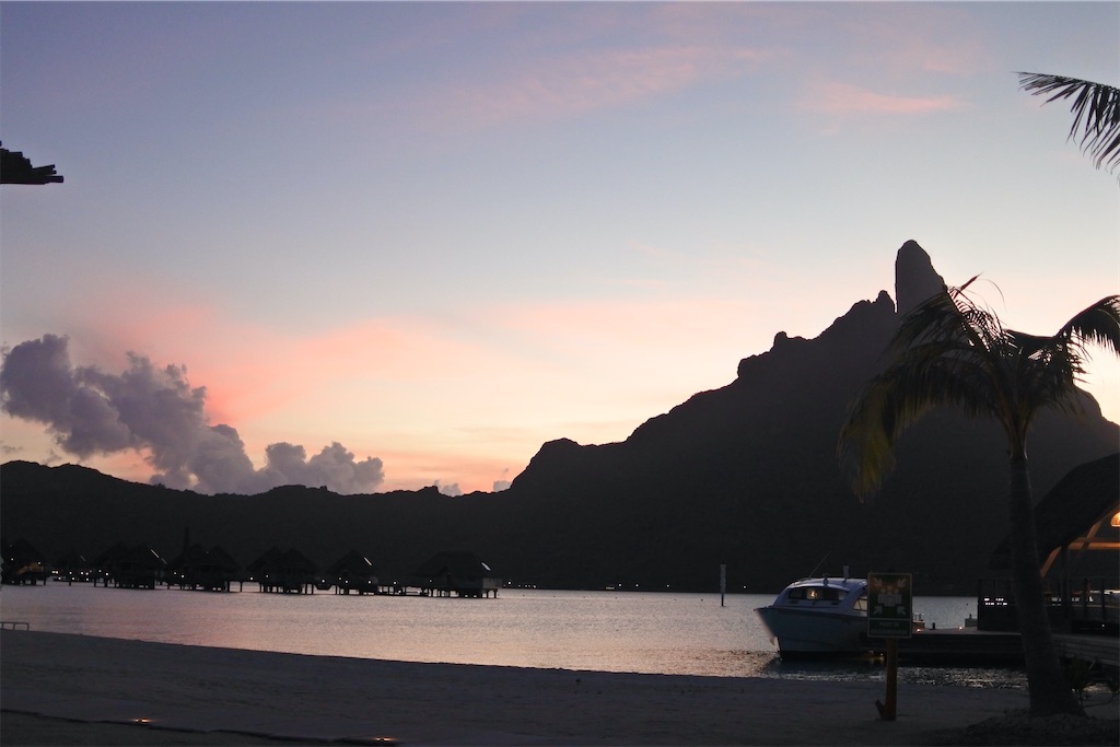 f:id:naccotours:20260401170207j:image