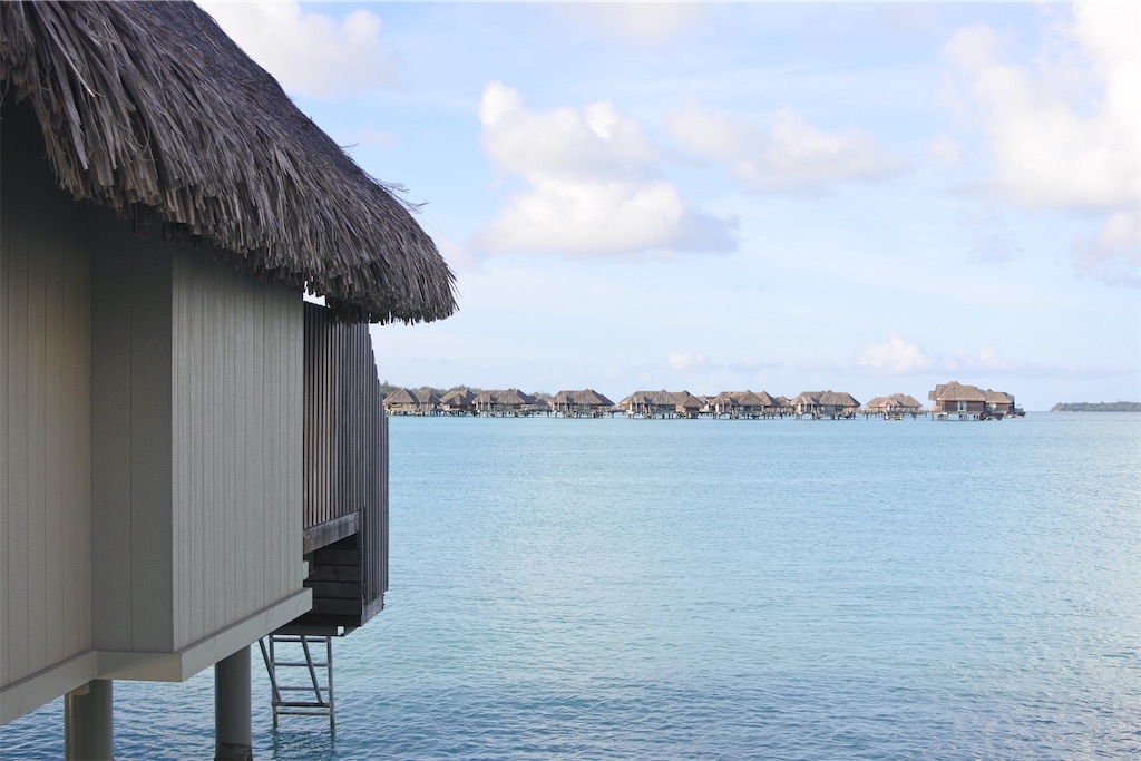 f:id:naccotours:20260402162601j:image