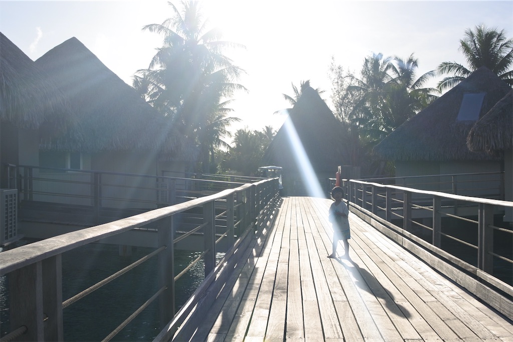 f:id:naccotours:20260402162605j:image