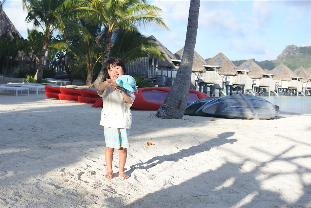 f:id:naccotours:20260402162613j:image