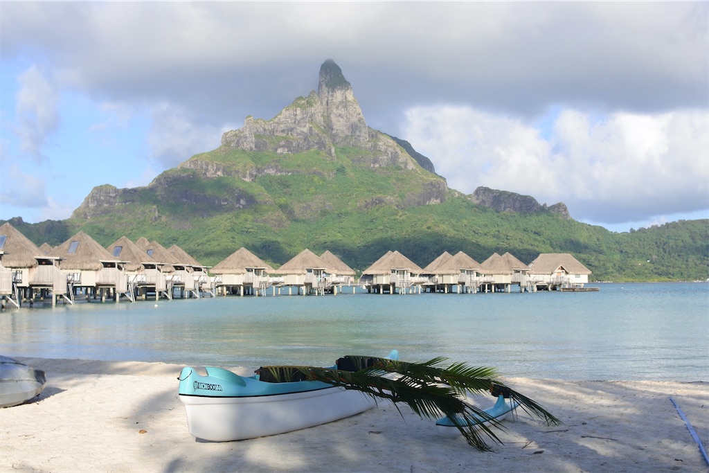 f:id:naccotours:20260402162617j:image