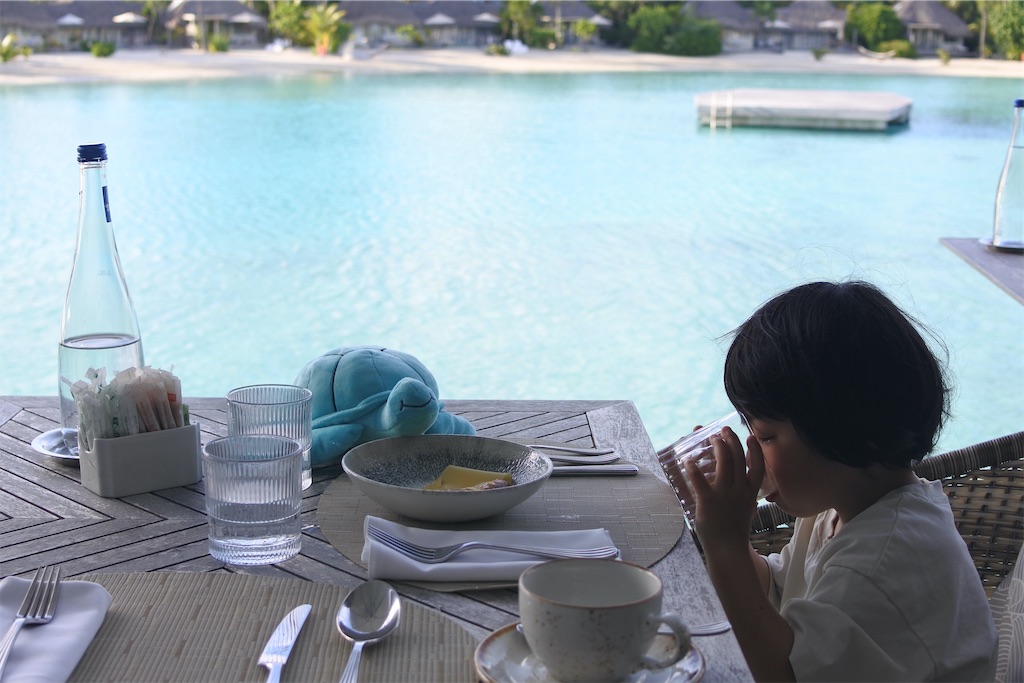 f:id:naccotours:20260402162820j:image
