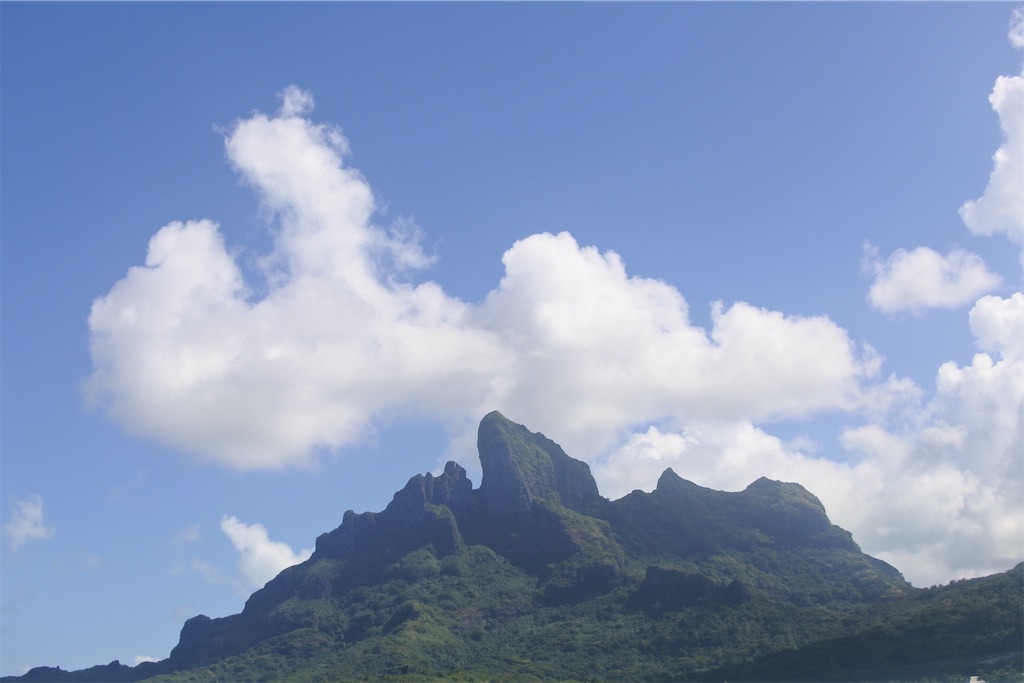 f:id:naccotours:20260402164054j:image