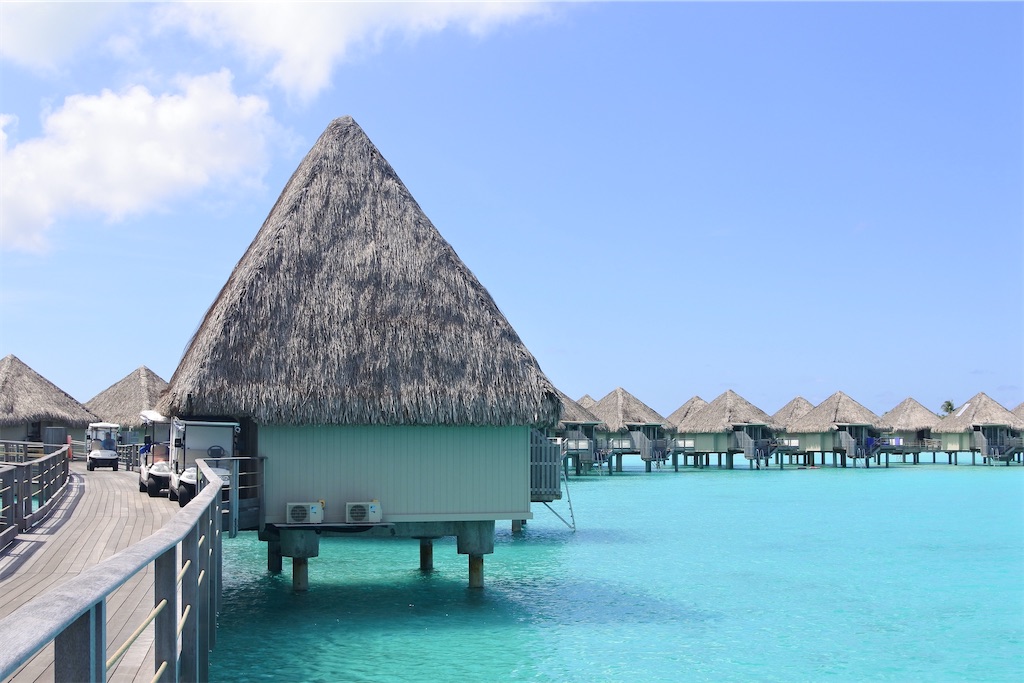 f:id:naccotours:20260402164110j:image