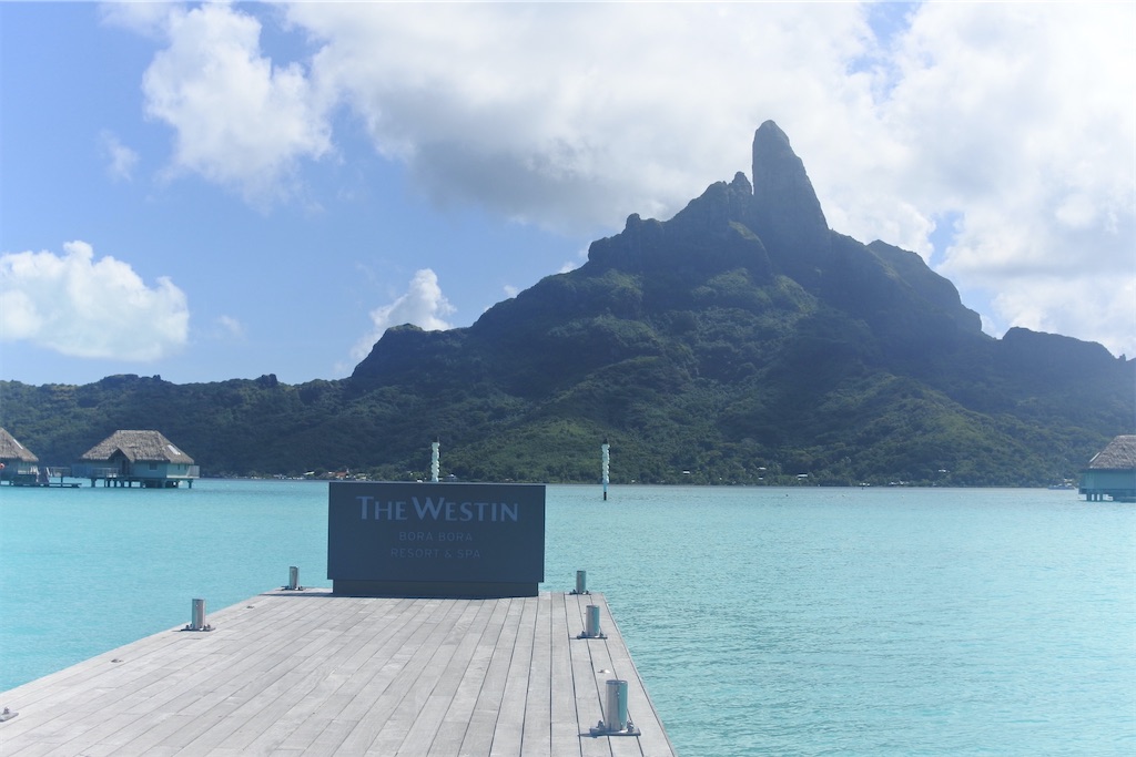 f:id:naccotours:20260402164125j:image