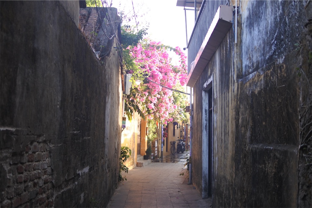 f:id:naccotours:20260531002711j:image