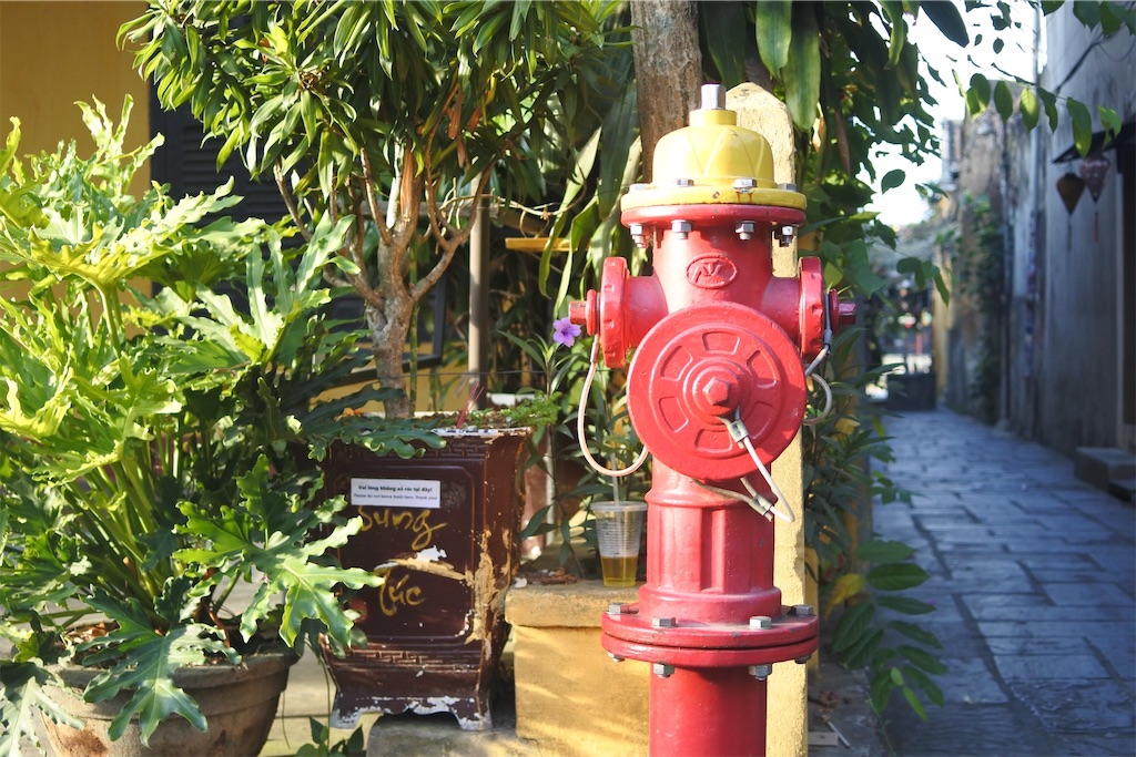f:id:naccotours:20260531002726j:image