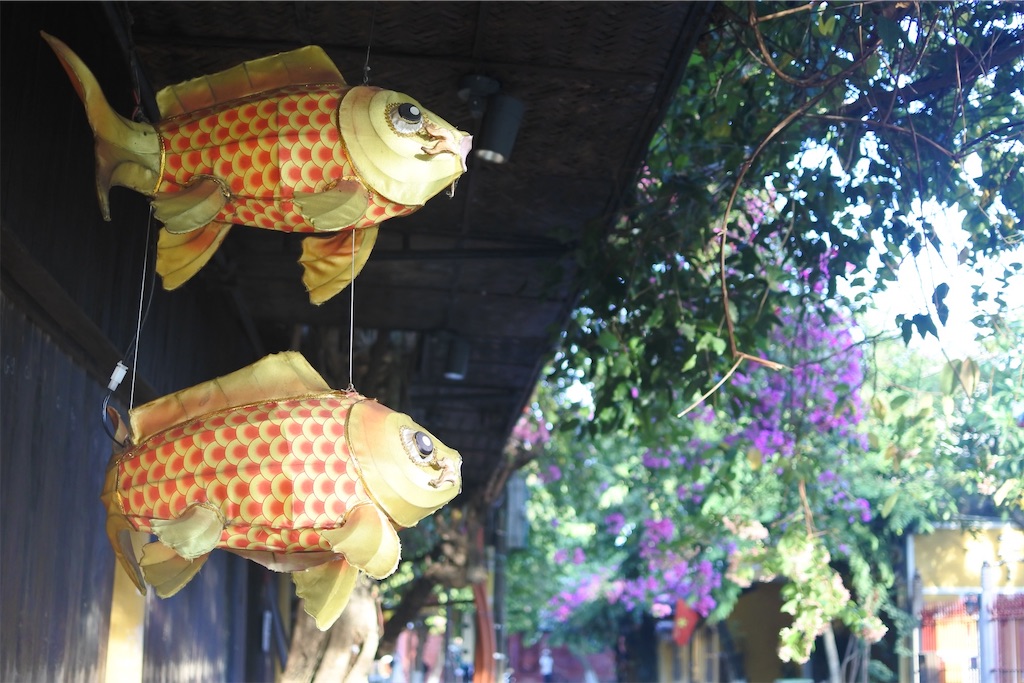 f:id:naccotours:20260531002729j:image