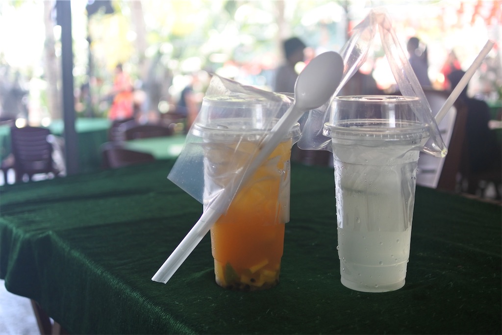 f:id:naccotours:20260531004636j:image