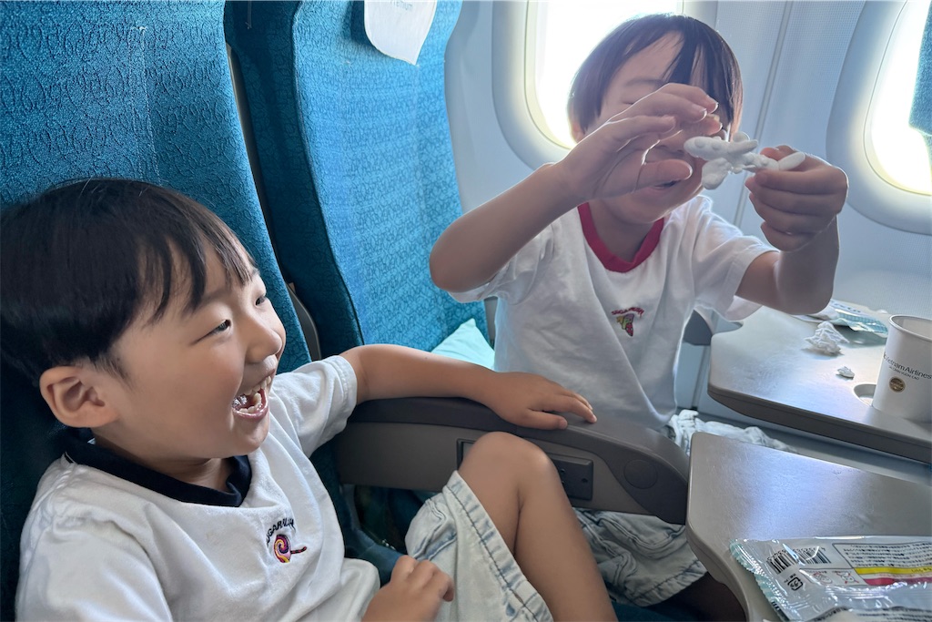 f:id:naccotours:20260531140820j:image