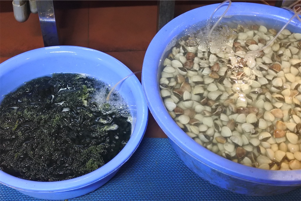f:id:naccotours:20260601175238j:image