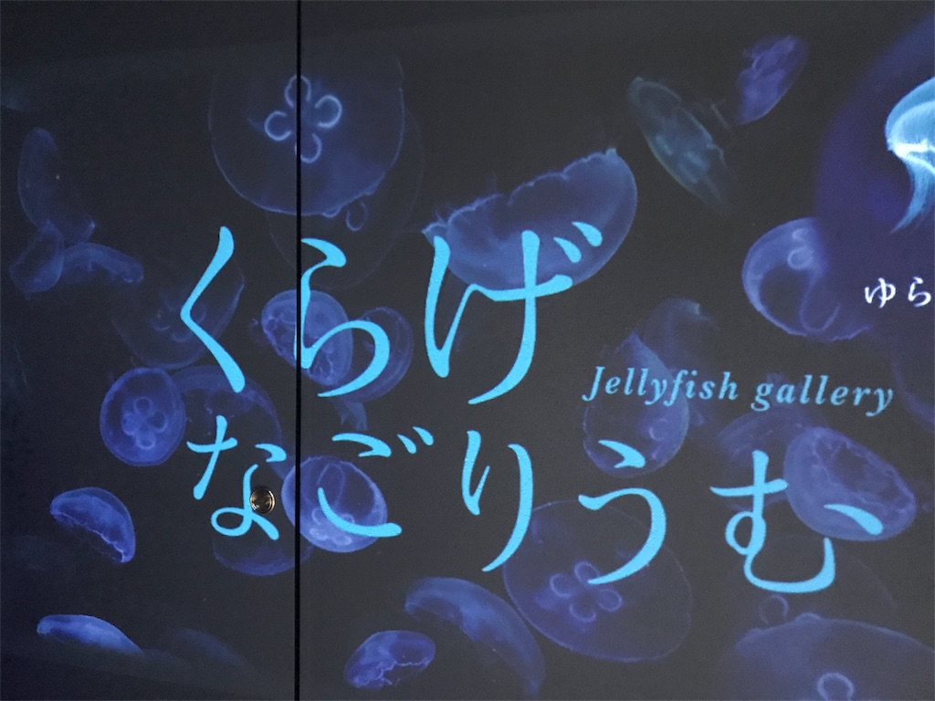 f:id:nachi321:20190420184803j:image